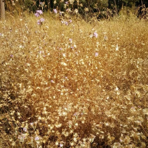 Meet your Posher, Jesse! - Picture 8 of 14